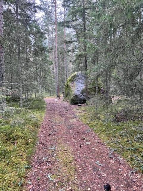 Altja Villa -saunaga puhkemaja Luaran gambar